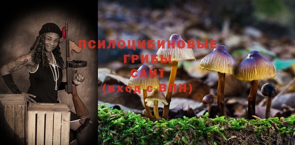гидра Алексин