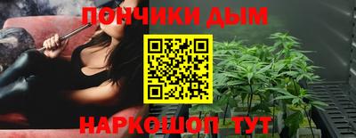 apvp Можга
