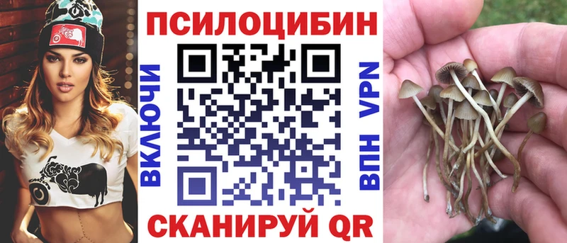 Псилоцибиновые грибы ЛСД  Ивантеевка 