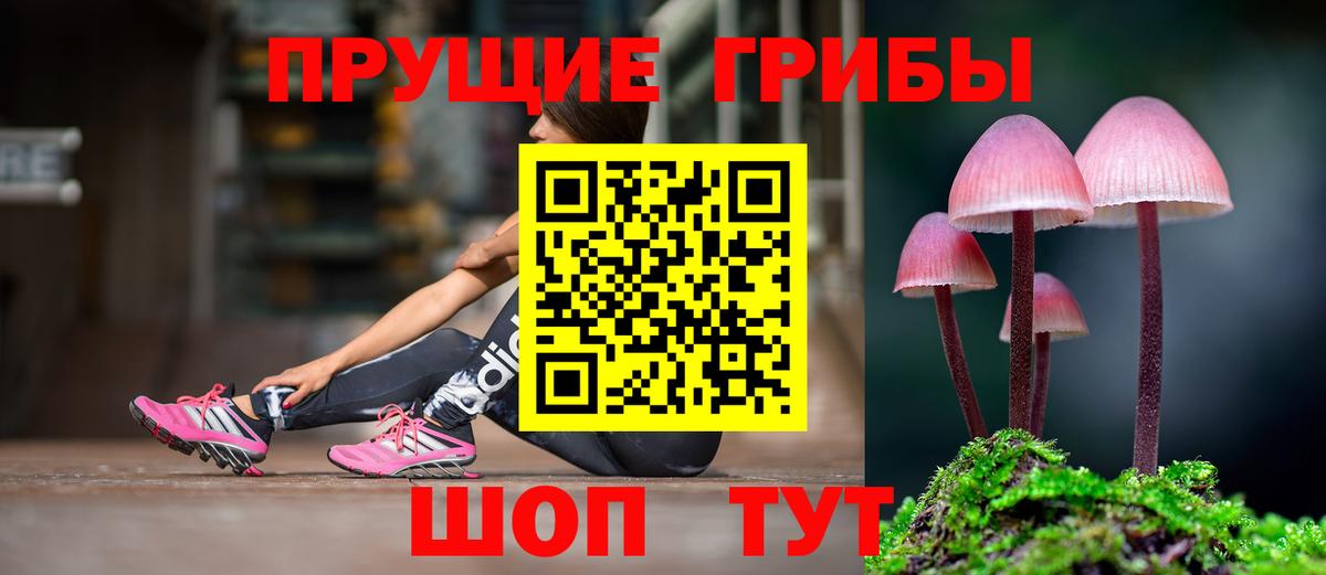 Псилоцибиновые грибы мухоморы  Вход с VPN  Ивантеевка  Галлюциногенные грибы мицелий 
